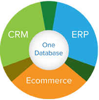 netsuite-one-database
